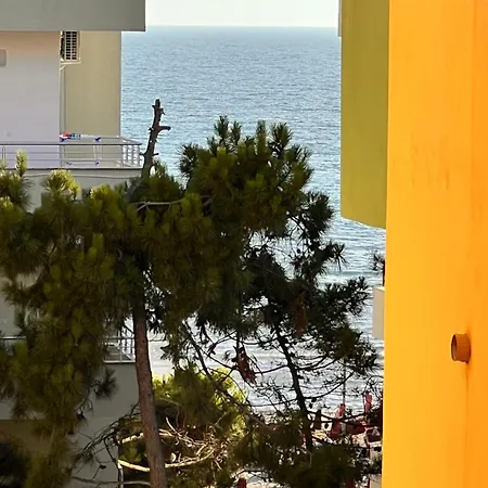 Rooftop Hd